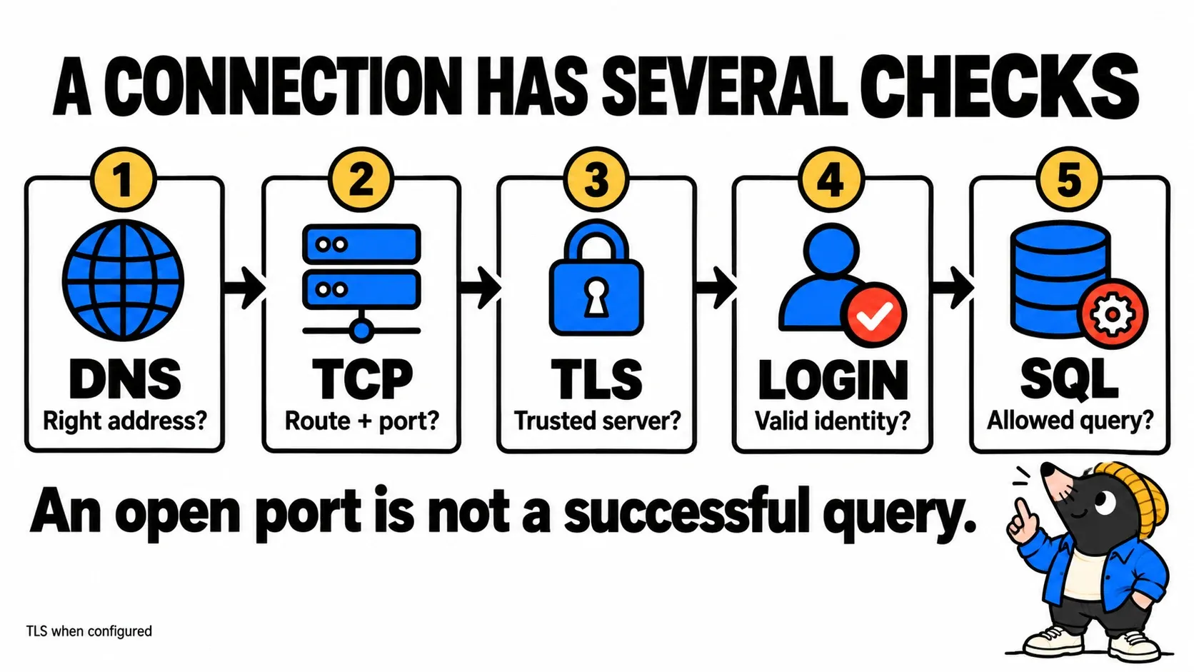 TOP follows five checks: DNS resolution, TCP connection, TLS when configured, authentication and SQL query authorization.